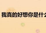 我真的好想你是什么歌（这首歌的完整歌词）