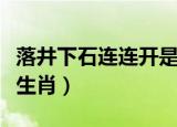 落井下石连连开是什么生肖（落井下石打一个生肖）