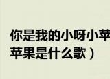 你是我的小呀小苹果的歌词（你是我的小呀小苹果是什么歌）