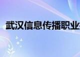 武汉信息传播职业技术学院录取分数线高吗
