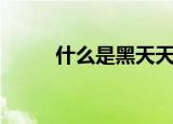 什么是黑天天（黑天天简单介绍）