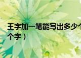 王字加一笔能写出多少个字（王字加一笔最多可以写出多少个字）
