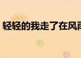 轻轻的我走了在风雨花丛中（轻轻的我走了）