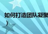 如何打造团队凝聚力（打造团队凝聚力的方法）