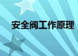 安全阀工作原理（安全阀工作原理介绍）