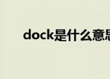 dock是什么意思中文（dock的意思）