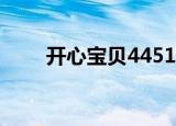 开心宝贝4451的意思（开心宝贝4）