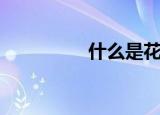 什么是花境（花境介绍）