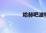 哈赫吧波特一家人（哈赫）