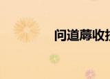 问道蓐收技能（问道蓐收）