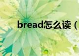 bread怎么读（bread的读音及例句）