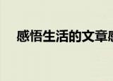 感悟生活的文章感悟（感悟生活的文章）