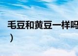 毛豆和黄豆一样吗（毛豆和黄豆是一种东西吗）