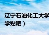 辽宁石油化工大学贴吧土木（辽宁石油化工大学贴吧）