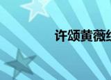 许颂黄薇组合（许颂黄薇）