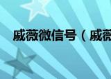 戚薇微信号（戚薇的qq号是多少 要真的）