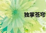 独掌苍穹txt（独掌苍穹）
