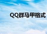 QQ群马甲格式（qq群马甲格式大全）