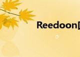 Reedoon口罩（reedoon）