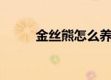 金丝熊怎么养（金丝熊养法简述）