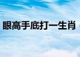 眼高手底打一生肖（眼高手低打一动物生肖）