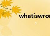 whatiswrongwithyou的意思