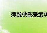 萍踪侠影录武功排名（萍踪侠影txt）