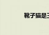 靴子猫是王子吗（靴子猫）