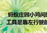  蚂蚁庄园小鸡问题：在我国，以下哪种交通工具是靠左行驶的
