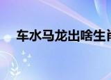 车水马龙出啥生肖（车水马龙打一生肖）