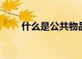 什么是公共物品（公共物品的介绍）