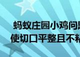  蚂蚁庄园小鸡问题：切蛋糕时，怎么做可以使切口平整且不粘