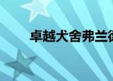 卓越犬舍弗兰德牧牛犬（卓越犬舍）