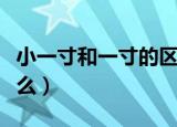 小一寸和一寸的区别（小一寸和一寸区别是什么）