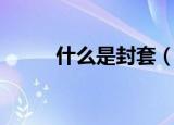 什么是封套（封套的定义是什么）