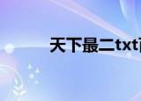 天下最二txt百度云（天下最二）