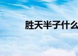 胜天半子什么意思（出自哪里呢）