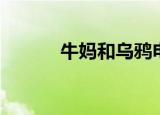 牛妈和乌鸦电影（牛妈和乌鸦）