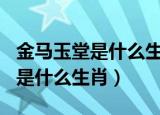 金马玉堂是什么生肖202010月27（金马玉堂是什么生肖）