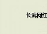 长武网红女子（长武网）