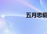 五月思貂旗（五月思貂）
