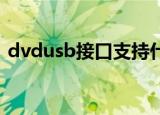 dvdusb接口支持什么视频格式（dvd usb）