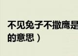 不见兔子不撒鹰是什么意思（不见兔子不撒鹰的意思）