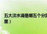 五大淡水湖是哪五个分别位于哪里（五大淡水湖分别位于哪里）
