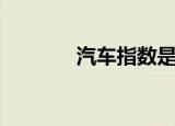 汽车指数是什么（汽车指数）