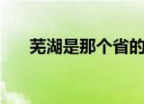 芜湖是那个省的城市（芜湖是哪里的）