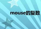 mouse的复数（大家可以学习一下）