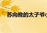 苏向晚的太子爷小说（苏向晚的太子爷）