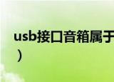 usb接口音箱属于家用电器吗（usb接口音箱）