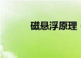 磁悬浮原理（磁悬浮原理介绍）